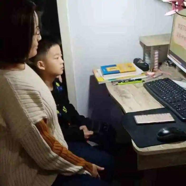 金雀培训课程下载,金雀花落叶怎么办