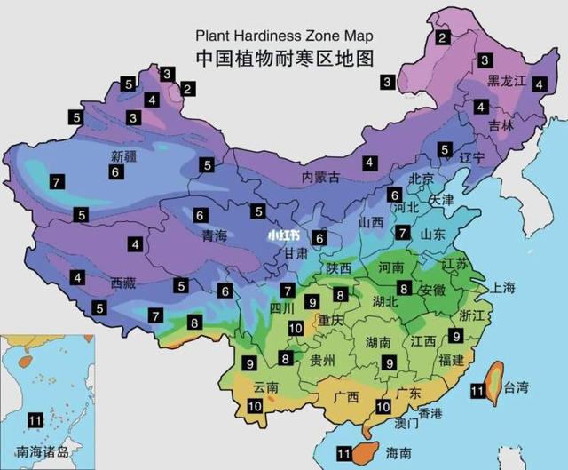 小红书运营地图,小红书哪个国家的