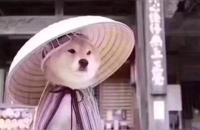 最新淘宝客视频教程,2018淘宝客如何推广