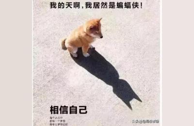拼多多尚轩课程,拼多多怎么避开技术服务费