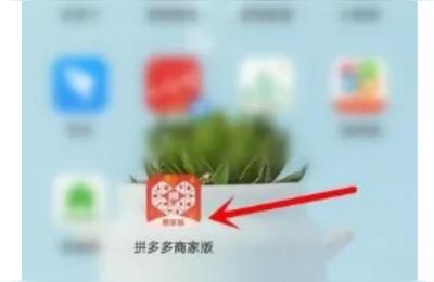 拼多多开店视频讲解,拼多多个人开店入驻条件及费用