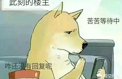 直通车没转化加权重吗,我的直通车怎么没有权益