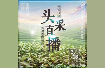 直通车权重都还没有烧起来,我的直通车怎么没有权益