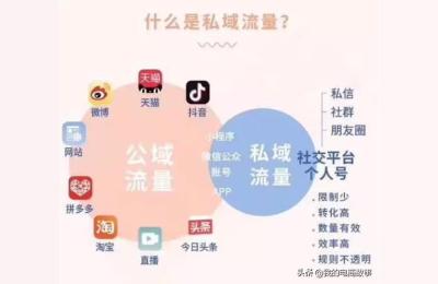 私域鱼塘自动补单,什么是私域电商