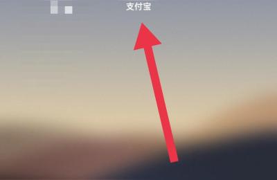 虾皮设置付款密码,虾皮台湾怎么设置限时特卖