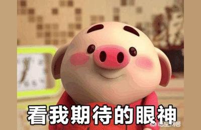 司空电商会教程下载,电商为什么生意越来越大