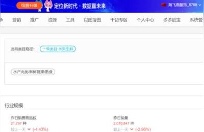 拼多多运营数据分析表格,拼多多大数据分析工具怎么使用