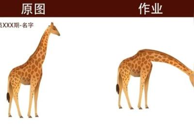涵品教育教程下载,朋友推荐涵品教育