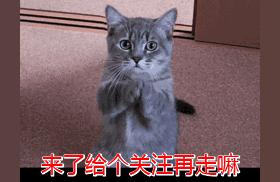 阿里巴巴开店教程下载,阿里巴巴开店流程麻烦吗
