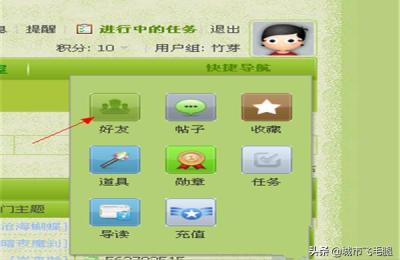 淘宝实操论坛,论坛怎么购买邀请码