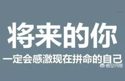 阿里巴巴诚信通运营培训机构什么地方比较专业,阿里巴巴诚信通运营方案该如何写