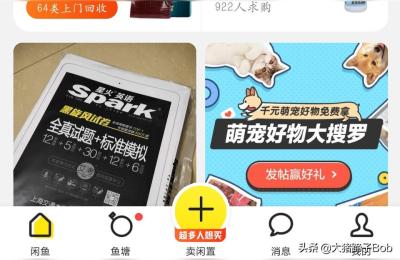 闲鱼发布可以不选类目吗,闲鱼怎么选择类目