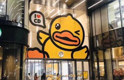 小鸭VIP学员转让,小黄鸭童鞋如何加盟