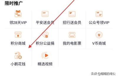 小鸭VIP教程,小黄鸭版权侵权怎么解决