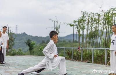 无极私家班课程,孩子想假期去武当学习下道家文化