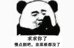 鱼塘补单安全吗,现在开始做淘宝