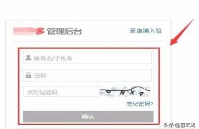 电商拼多多店铺数据统计表,拼多多如何知道自己店铺的流量啊