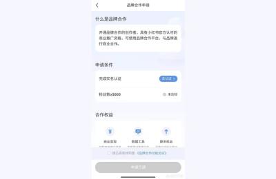 赵露思为什么增加却看不,赵露思为什么排名第一