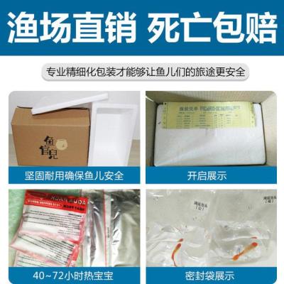 灯鱼无为法直通车可靠吗,直通车趋势推广有用吗
