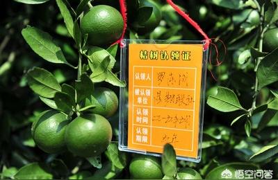 禅中说电商guanfang,现在的实体店不好做是因为马云的电商还是房主房租高呢
