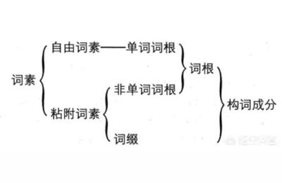 淘宝词根分析表excel,有哪些可以帮助分析单词词根的应用软件