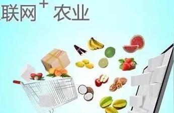 乡村新生态发展该如何运用互联网营销,乡村新生态发展该如何运用