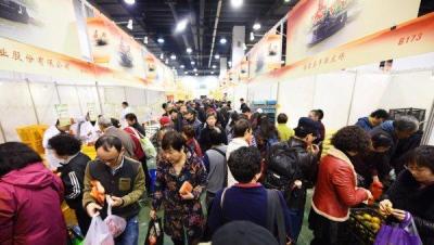 慕斯城抖店课程,教育类目如何在抖音商品橱推广