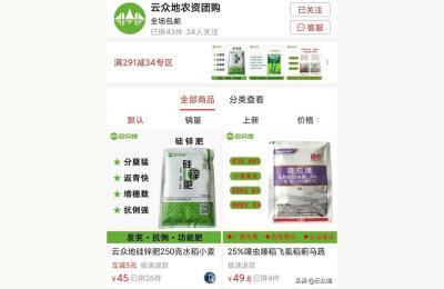 泰安云众拼多多,拼多多云客服哪里报名