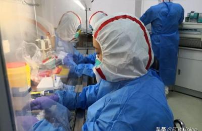 暴力黑搜表格下载,如何将单元格区域字体设置为黑体家暴