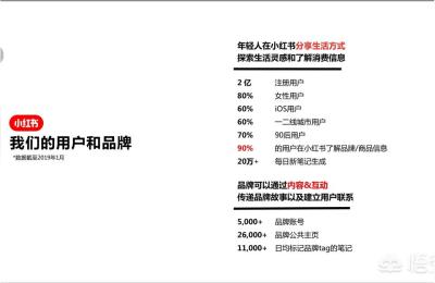 猫课小红书达人付费合作篇,卖不出去啊各种方法都试了