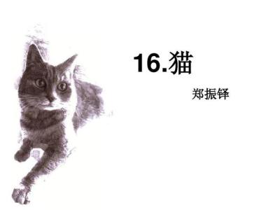 猫课712百度云,小学课文猫试是几年级