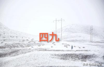茂隆2022搜索,2022年怎么了
