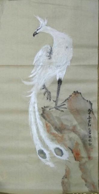 白凤电商百度云,白凤和奶茶区别