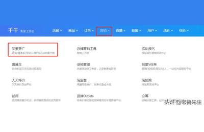 淘宝直通车静态是什么意思,淘宝上的直通车到底是什么意思