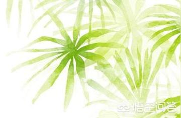淘宝卖家写给买家的信,淘宝店卖家给买家的小礼物或小纸条