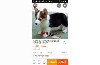 直通车垃圾关键词,未来电商的趋势在哪里