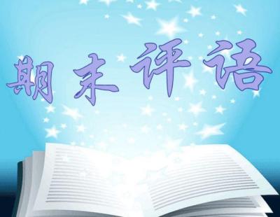 淘宝鞋的好评语,淘宝汽车尾喉好评语