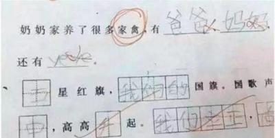 淘宝狗狗好评语,夸孩子的搞笑评语