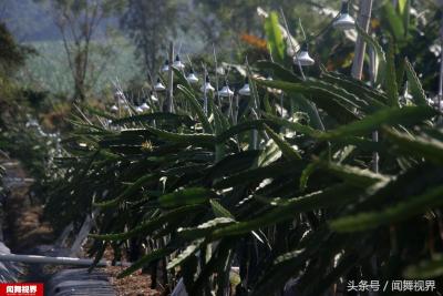 淘宝宝贝被监管了怎么办,淘宝商品被监管影响搜索排名吗