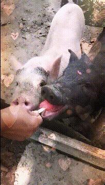 淘宝差评的影响,淘宝买家删除差评还能生效吗