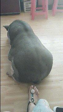 淘宝差评没显示,为什么淘宝评论很多但是看不见