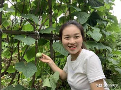 淘宝成交量怎么刷,阿里会采取怎样的应急措施