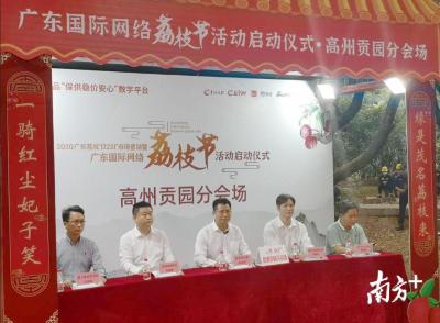 淘宝分会场流量,2019APEX这款手机有5G网络技术