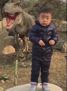 淘宝好评领的券在哪里,手机淘宝为什么看不到评价