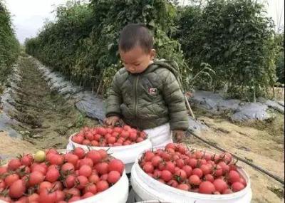淘宝里什么是副宝贝,什么算商家码
