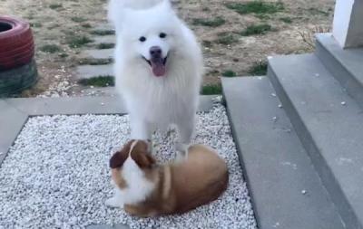 手机淘宝上怎么看自己的评价,为什么看不到淘宝里的评价了其他人