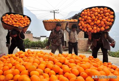 淘宝退货卖家不给地址怎么办,对方不肯寄回来怎么办呢