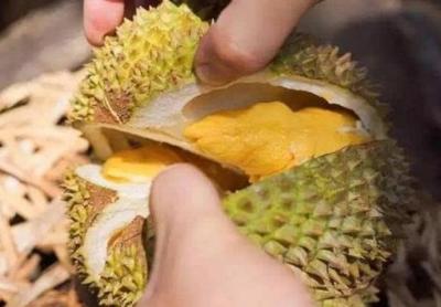 淘宝购买水果退货规定,水果寄不出去退回需要多少天