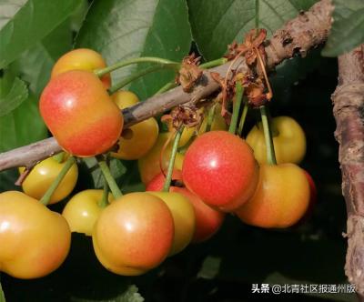 直通车的精选人群入口在哪里,高三如何高效学习