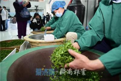 淘宝直通车种草人群是什么意思,淘宝直通车种草是什么意思